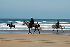 Peru-Coast-Coastal Oasis and Nazca Lines Ride